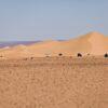 From Ouarzazate Tour 2 Days to Erg Lihoudi