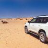 Tour 5 Days From Agadir To Dunes Chegaga