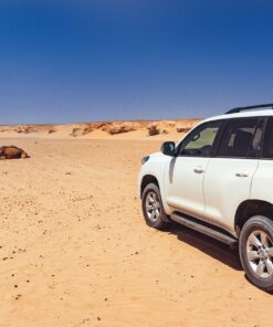 Tour 5 Days From Agadir To Dunes Chegaga