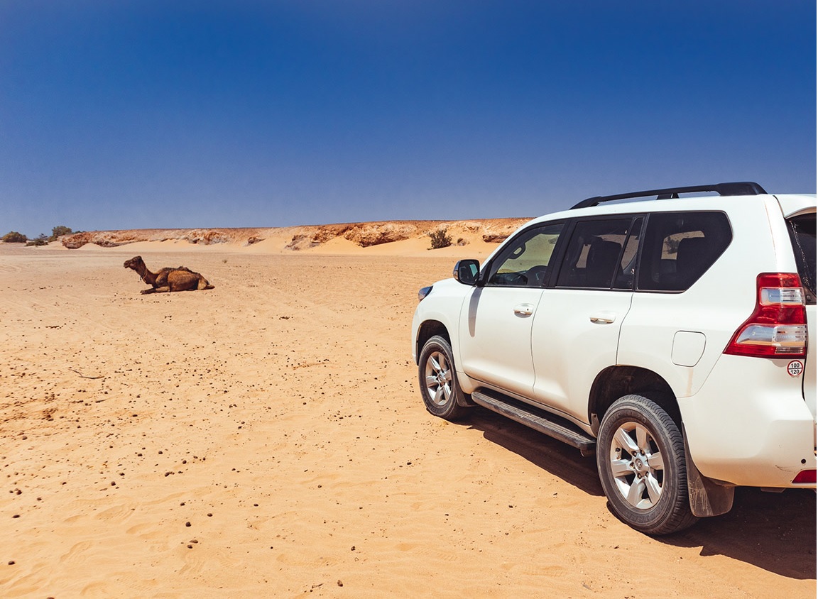 Tours From Mhamid-Adventures Desert Tour 5 Days From Agadir To Dunes Chegaga