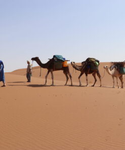 Trek One Night in Desert Morocco