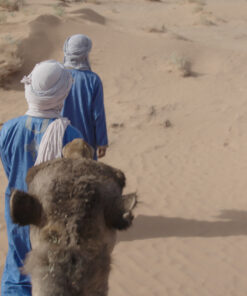 Trip for 4 Days Explore Desert