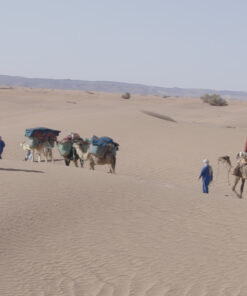 Trek 9 Days Visit Desert Departure From Mhamid