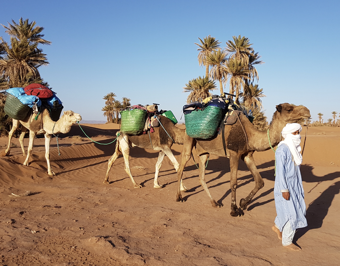 Trip 7 Days in Desert Morocco with camels Trip 7 Days in Desert Morocco with camels