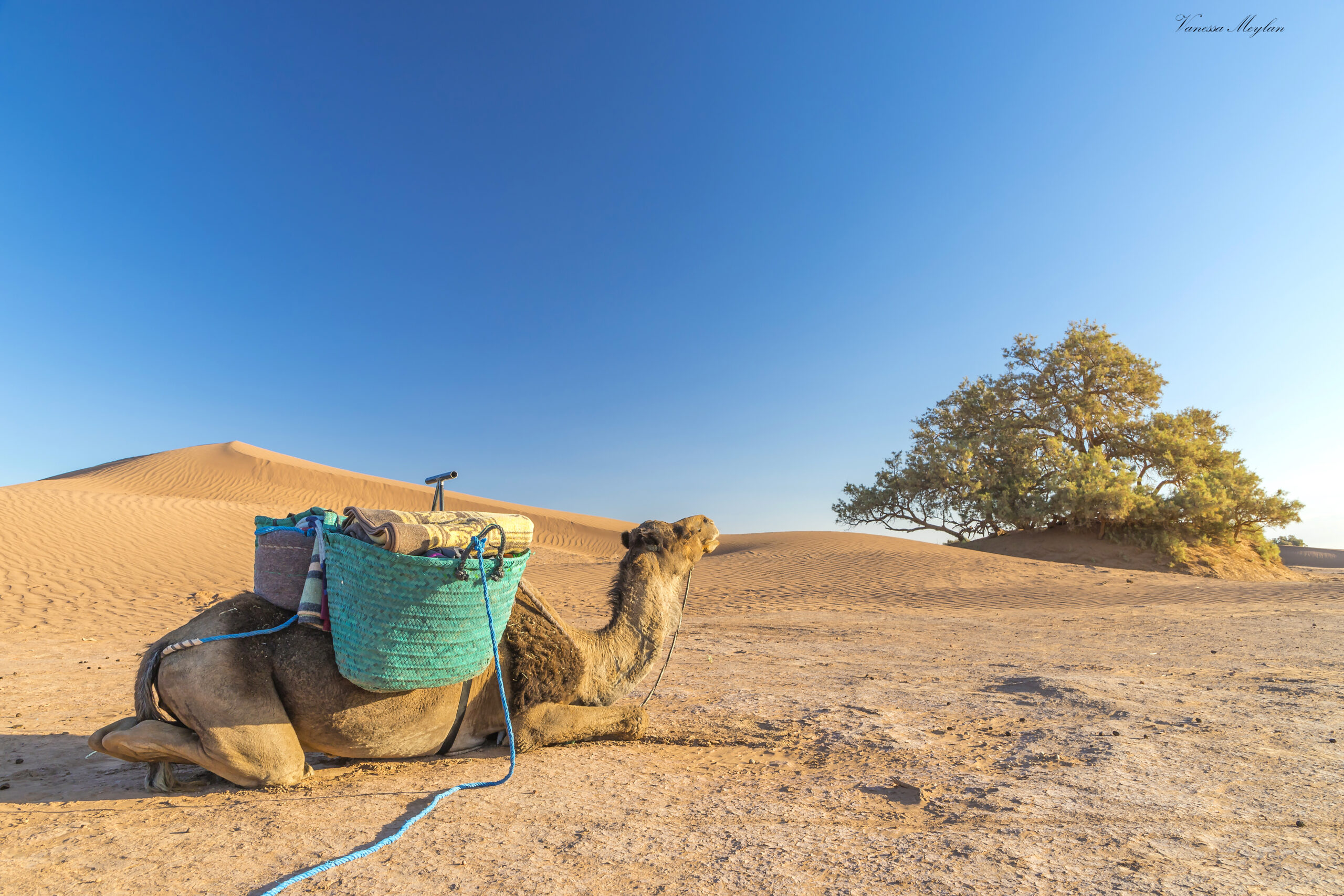 Trek two Days Desert Mhamid Trek two Days Desert Mhamid