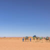 Trek 8 Days Relaxing & Exploring Desert