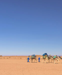 Trek 8 Days Relaxing & Exploring Desert