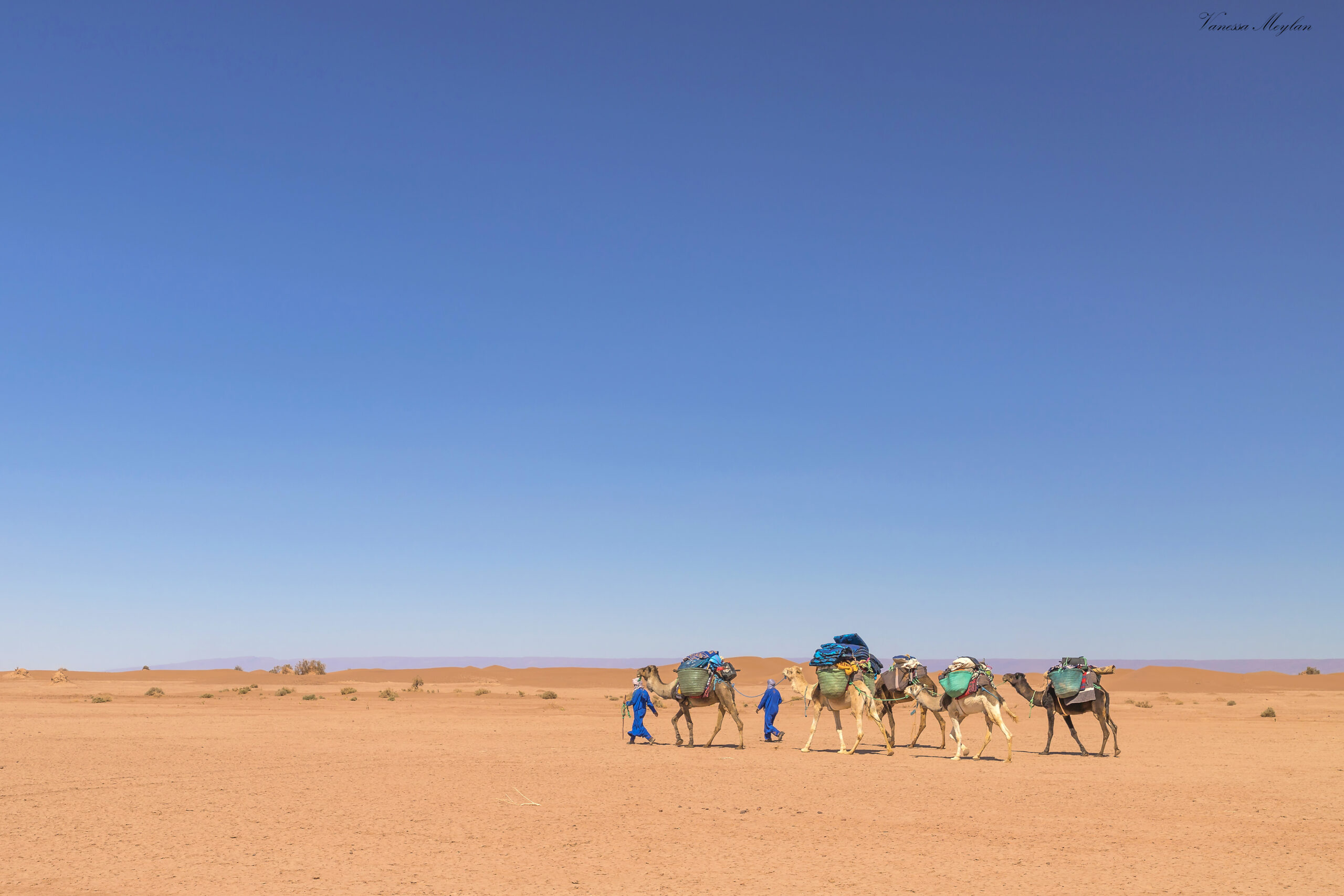 Camels Trekking desert Trek 8 Days Relaxing & Exploring Desert
