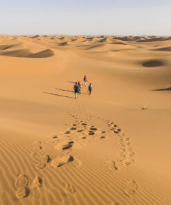 Camels Trek 7 days Explore Desert Morocco