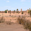 Trek 10 Days Desert Mhamid