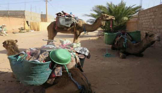 Camels Trek 5 Days from Zagora Camels Trek 5 Days from Zagora