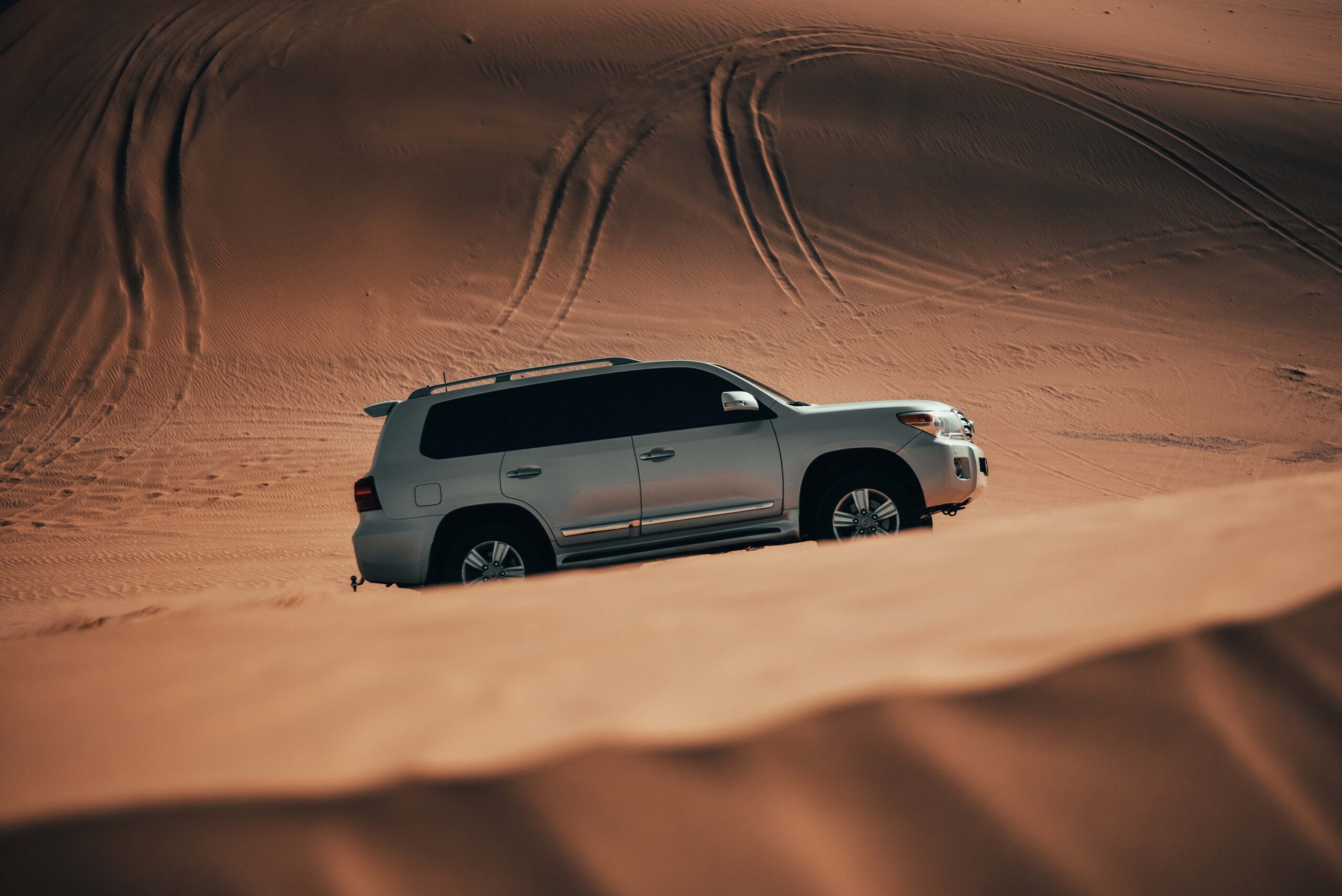 daniel-jankovic-mzBtcVkoP6I-unsplash Tour 5 Days From Marrakech to Erg Chegaga