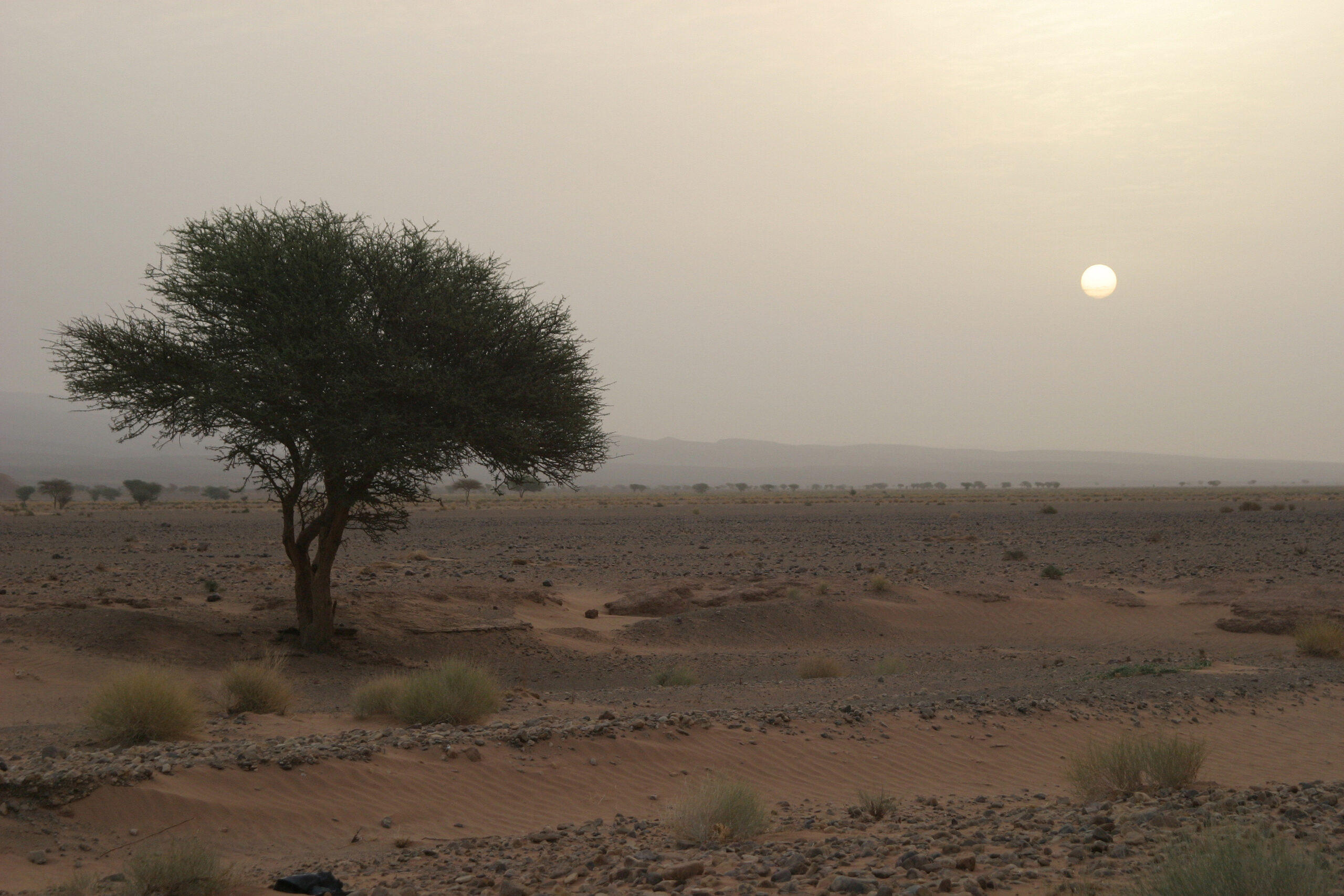 mhamid desert